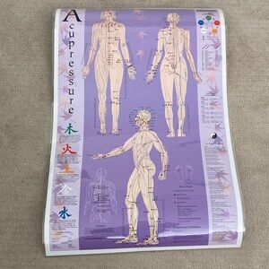 Acupressure Chart with Acupuncture Points and 5 Elements Massage Human Anatomy